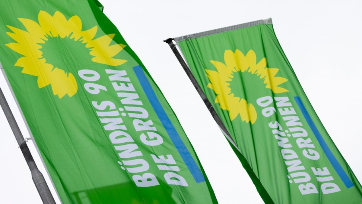 Die Grünen erhielten eine Großspende über 35.000 Euro (Symbolbild). Die Grünen erhielten eine Großspende über 35.000 Euro (Symbolbild). (Foto)