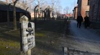 Bücher und Filme als Teil der Erinnerungskultur an den Holocaust (Symbolfoto).