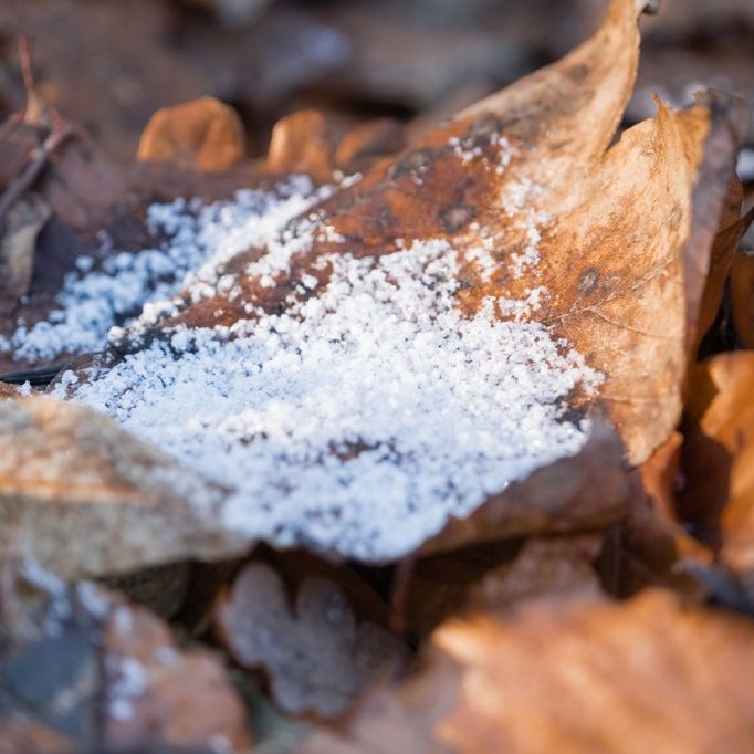 Spekulationen über Russlandkälte - Das sagen die Wettermodelle