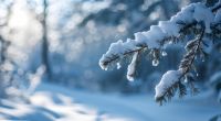 Wie soll das Wetter im Februar werden?
