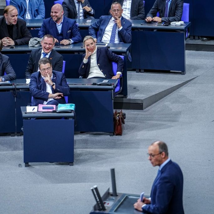 Alice Weidel bloßgestellt, Kritik an Grünen-Selfies, Wut auf Friedrich Merz