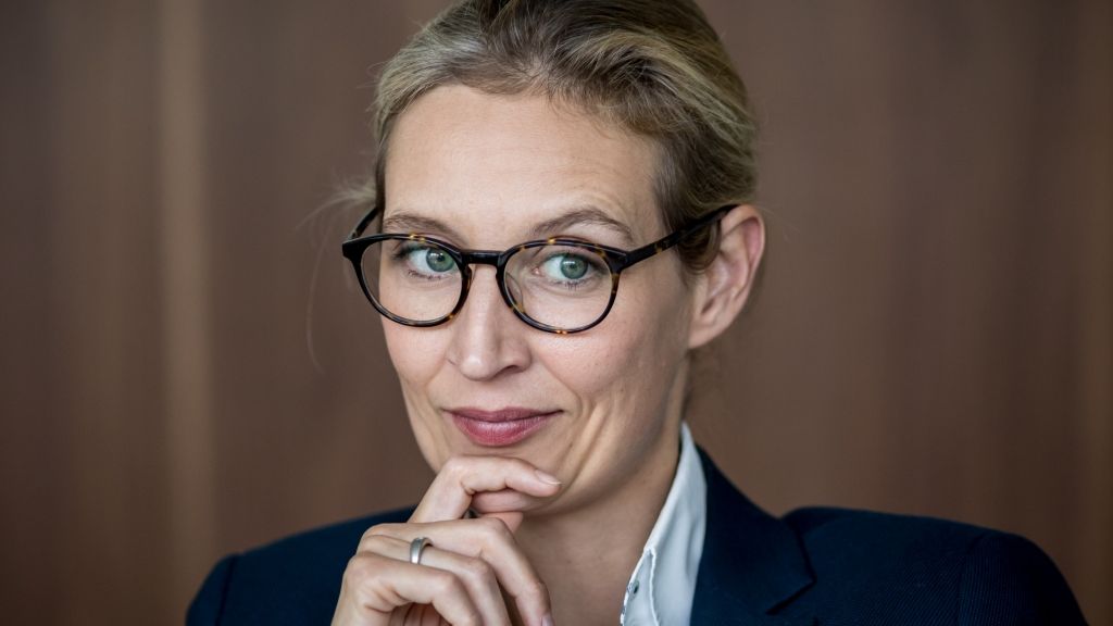 Alice Weidel geht als Kanzlerkandidatin der AfD in den Bundestagswahlkampf 2025 - wie sieht ihre bisherige Laufbahn in der Alternative für Deutschland aus? (Foto)