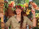Dschungelcamp bei RTL