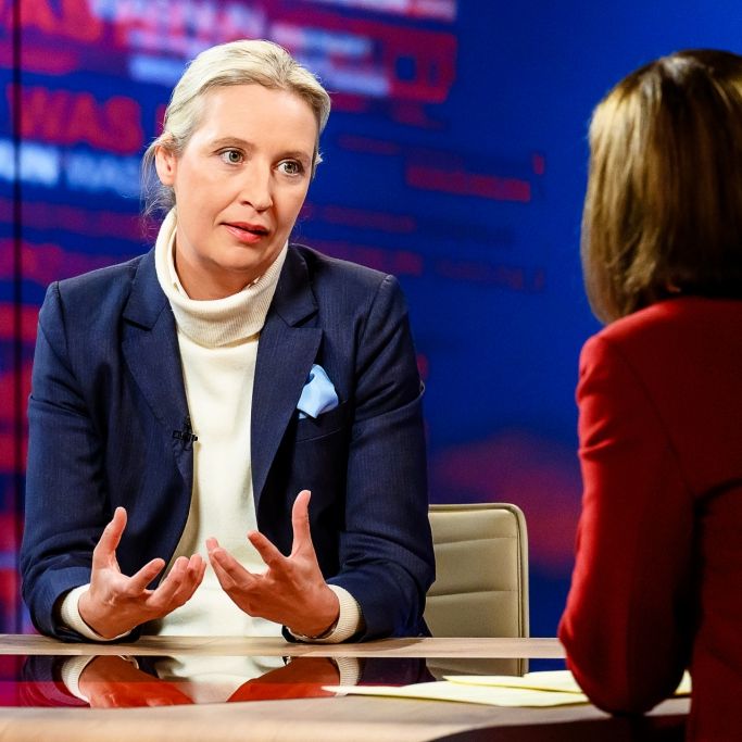 Sie reichte ihm erst die Hand: Dann stichelt die AfD-Politikerin gegen Merz