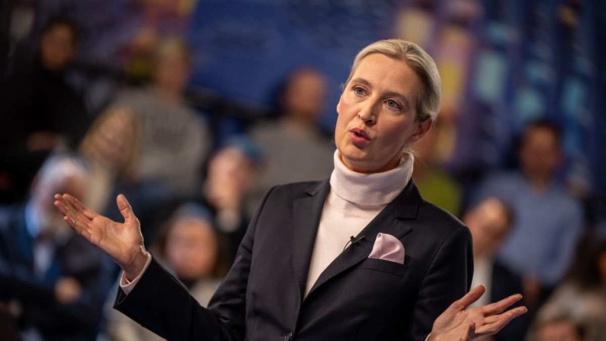 AfD-Chefin Alice Weidel warb erneut für eine Koalition mit der Union nach der Bundestagswahl. AfD-Chefin Alice Weidel warb erneut für eine Koalition mit der Union nach der Bundestagswahl. (Foto)