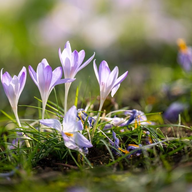 30-Grad-Temperatursprung grillt winterliches Bibber-Wetter weg