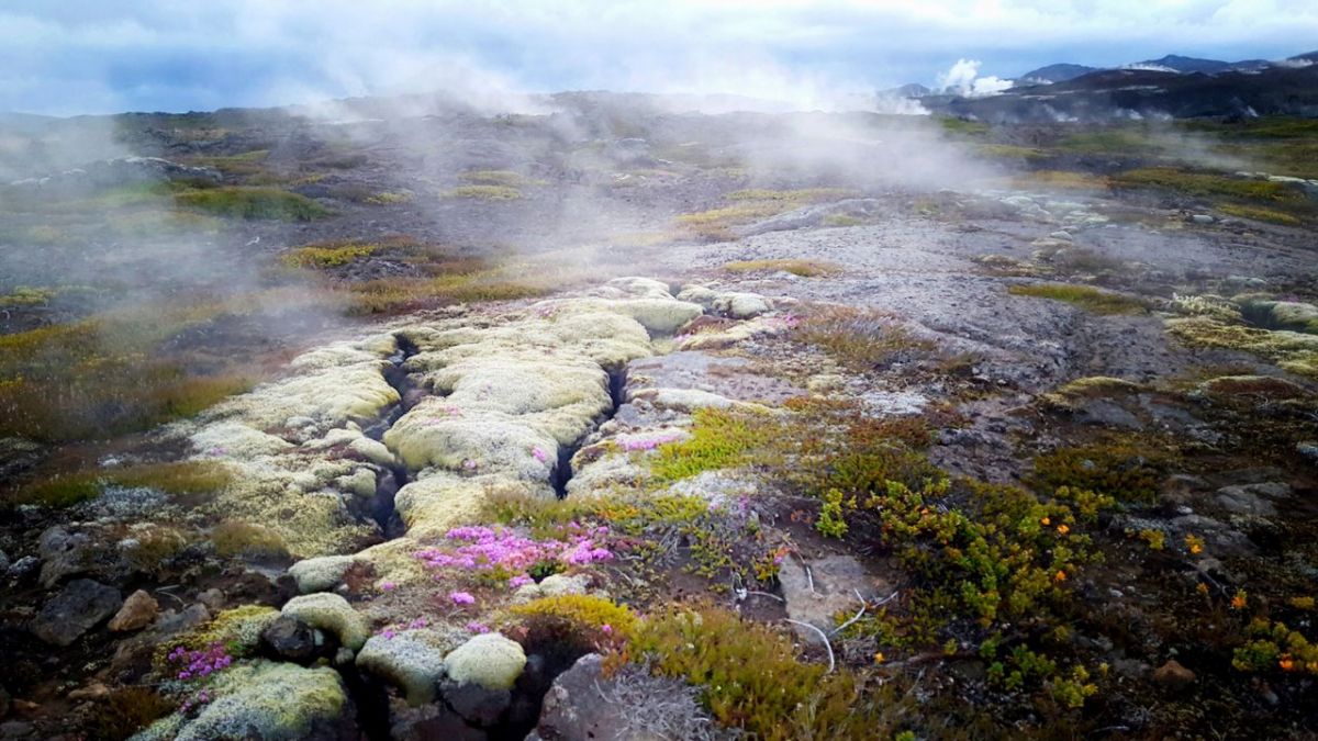 Magisches Island bei 3sat Magisches Island bei 3sat (Foto)