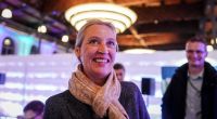 Kurz vor der Wahl berichten Medien von einer möglichen Spenden-Affäre ihrer Partei. Ein Sprecher von Alice Weidel äußerte sich gegenüber der Presse.
