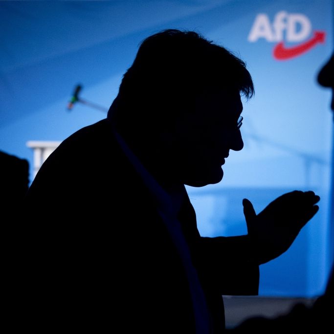 Aktueller Stand von Großspenden an die AfD (Symbolbild).