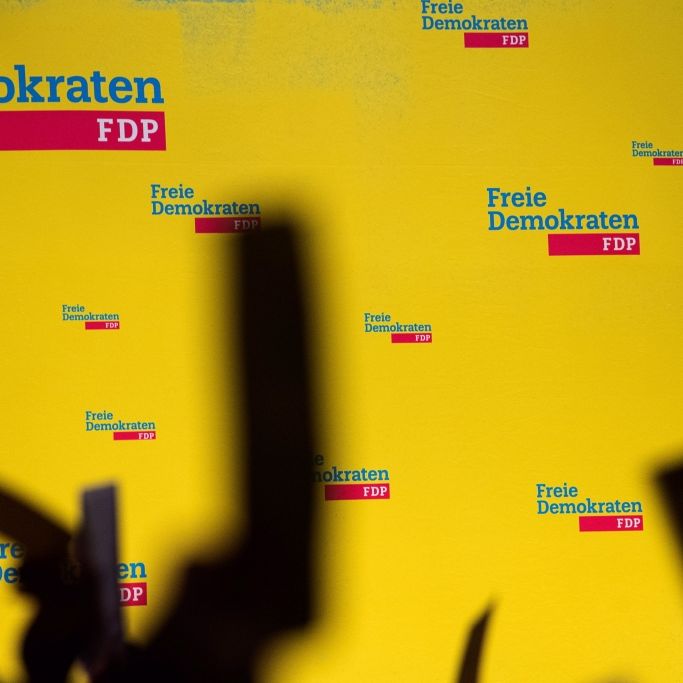 Aktueller Stand von Großspenden an die FDP (Symbolbild).