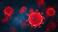 In einer aktuellen Studie informiert eine chinesische Forschungsgruppe über ein neuartiges Coronavirus, welches ähnliche Merkmale aufweist, wie Sars-CoV-2.