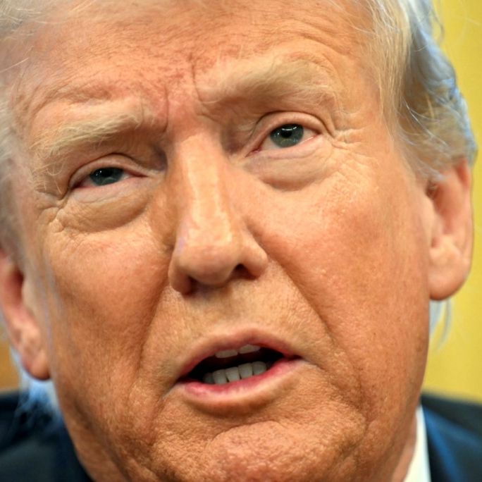 US-Präsident lockt mit Goldkarte - so teuer wird es für Einreisende