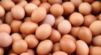 Droht Deutschland kurz vor Ostern eine Eier-Krise?