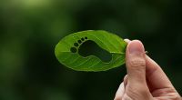 Wer umweltbewusst leben möchte, kann mit der Reduktion des eigenen CO2-Fußabdrucks anfangen.
