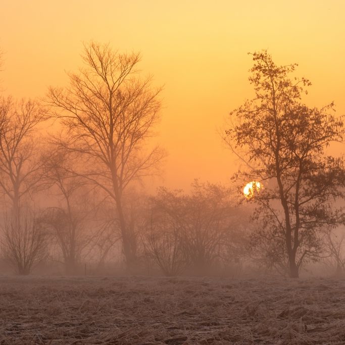 Warmluftdüse bläst 