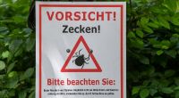 Das RKI hat die Risikogebiete für Zecken in Deutschland erweitert.