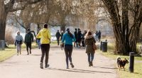 Der Frühling wartet mit ungewöhnlich warmen Temperaturen auf.