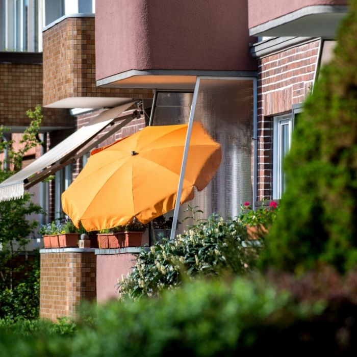 Diese Pflanzen sind auf dem Balkon nicht erlaubt