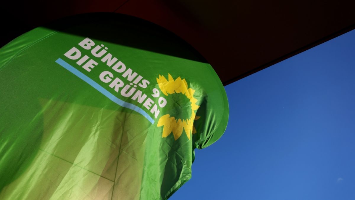 Die Gr&uuml;nen erhielten eine Gro&szlig;spende &uuml;ber 35.000 Euro (Symbolbild). (Foto)