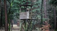 Das Mädchen wurde an einem Hochsitz im Wald vergewaltigt.