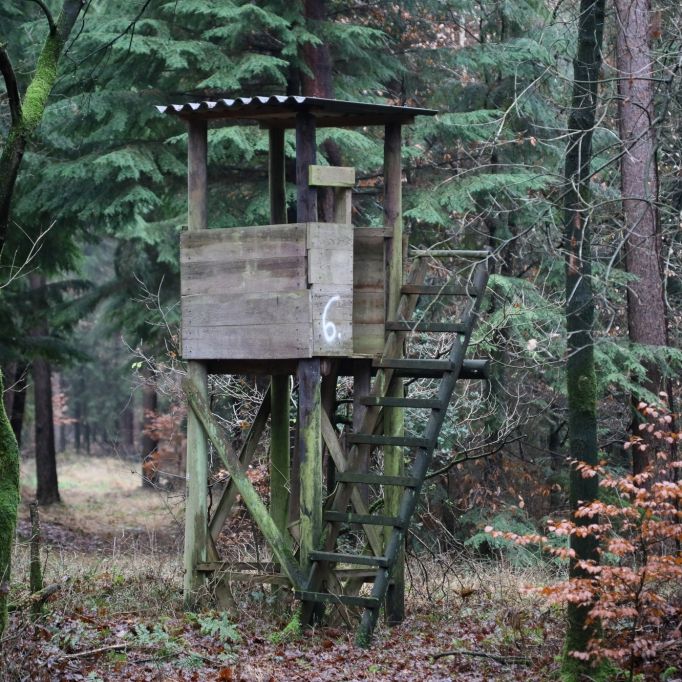 Mädchen an Jagdhochsitz im Wald vergewaltigt