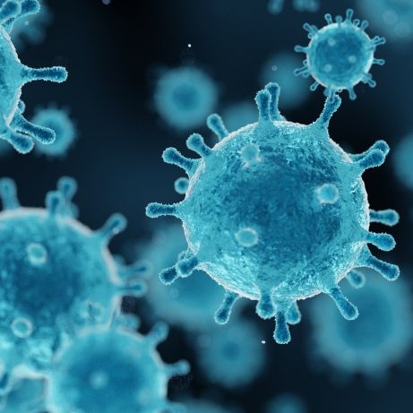 Nächste Pandemie zum Greifen nah? Neue Doku offenbart Virus-Einblicke