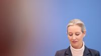 Alice Weidel warf dem ukrainischen Präsidenten Wolodymyr Selenskyj bei 