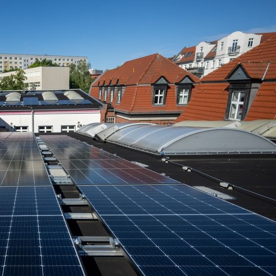 Doch lohnt sich die Investition wirklich – oder droht eine Kostenfalle?