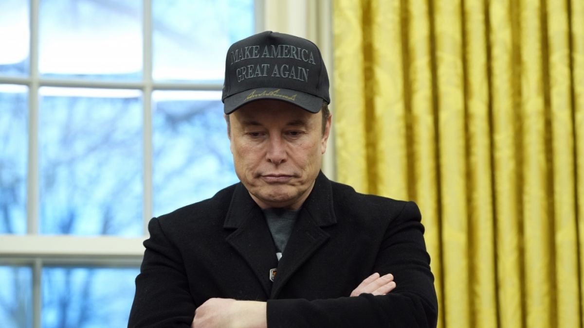 Elon Musk machte sich mit seinem "Verräter"-Post selbst zur Zielscheibe. Elon Musk machte sich mit seinem "Verräter"-Post selbst zur Zielscheibe. (Foto)