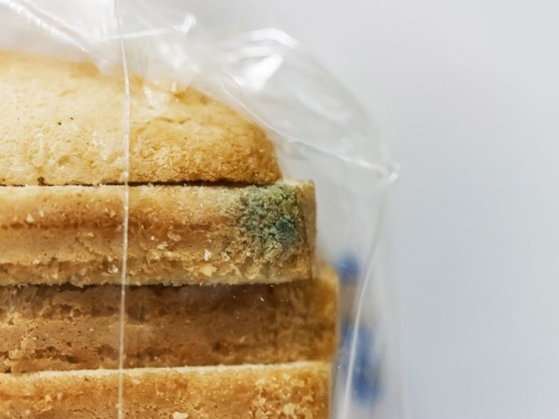 Mykotoxin-Ausbreitung aktuell: EU-Experten schlagen Alarm wegen Schimmelpilzgift-Vormarsch