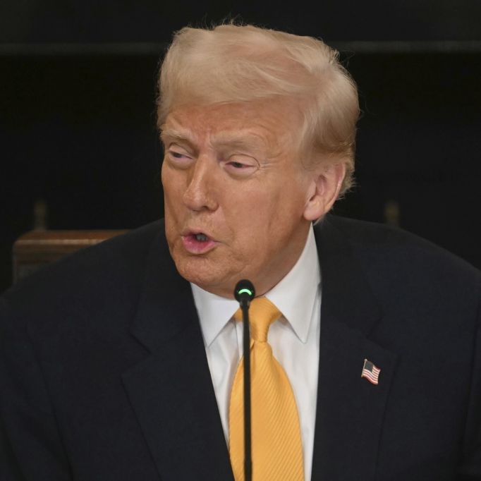 EU rüstet sich für Gegenschlag nach Trumps Zoll-Gepolter