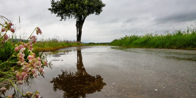 Wetterwarnung aktuell