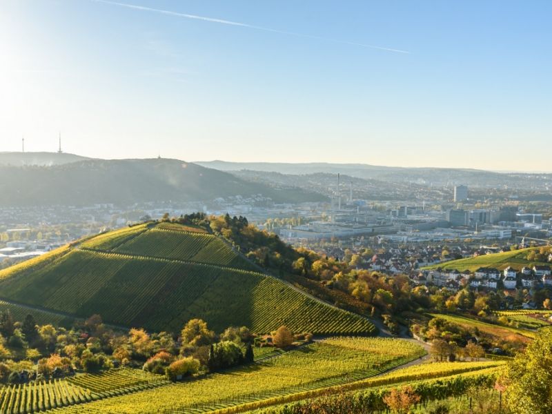 Stuttgart: 13 Tiere tot: Horror-Schlangenhaltung entdeckt und aufgelöst