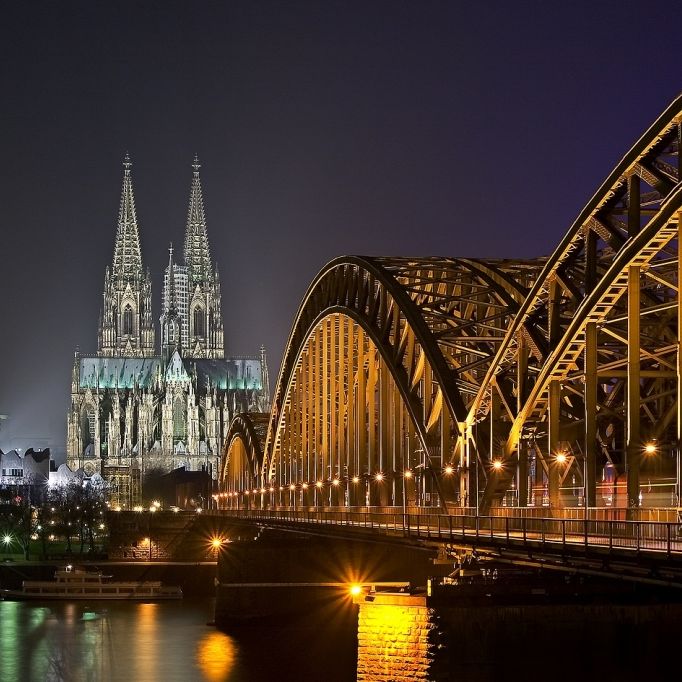 Goldgelbe Löwenäffchen in Köln geboren