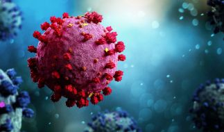 Das Coronavirus löste weltweit eine der größten Pandemien aus. (Symbolfoto)