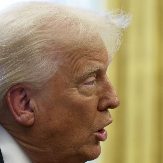 Düstere Prognose lässt Zukunft nach 4 Jahren Trump erahnen