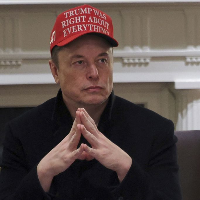 Tesla-Chef beendet Zusammenarbeit - so reagiert Donald Trump