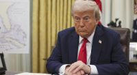 Donald Trump will einen knapp 200 Jahre alten Baum am Weißen Haus fällen lassen.