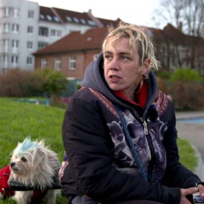 Wiederholung der Gesellschaftsreportage im TV und online