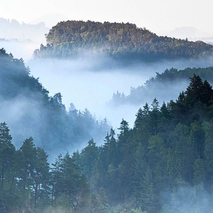 Wiederholung der Naturdoku im TV und online