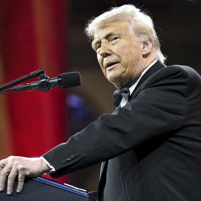 Knapp eine Million Migranten sollen USA 