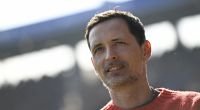 Dino Toppmöller ist seit Juli 2023 Trainer bei Eintracht Frankfurt.