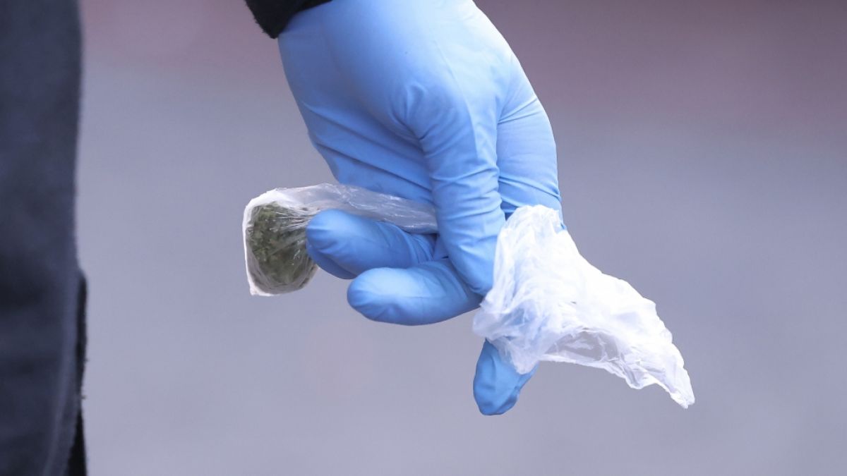 Die Polizei informiert über ein Drogendelikt (Symbolbild). Die Polizei informiert über ein Drogendelikt (Symbolbild). (Foto)