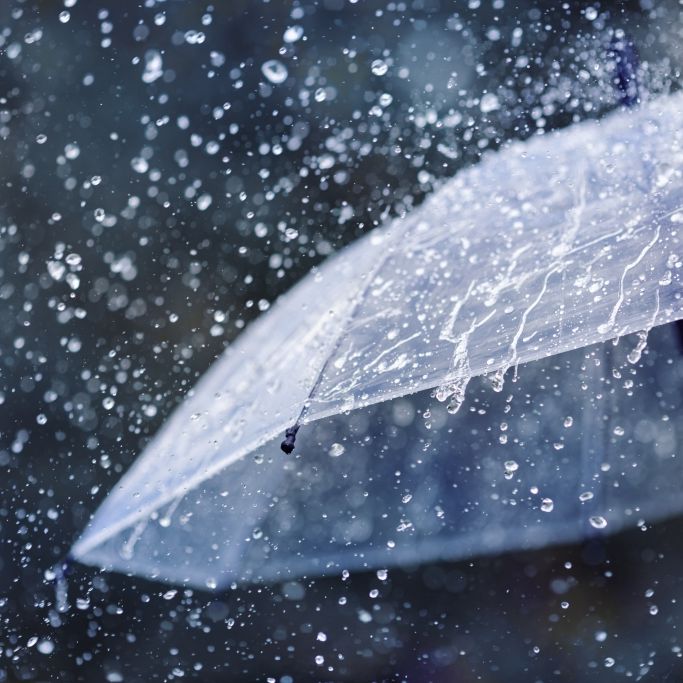 Wetterdienst prophezeit Wetterumschwung - Wann regnet es endlich wieder?