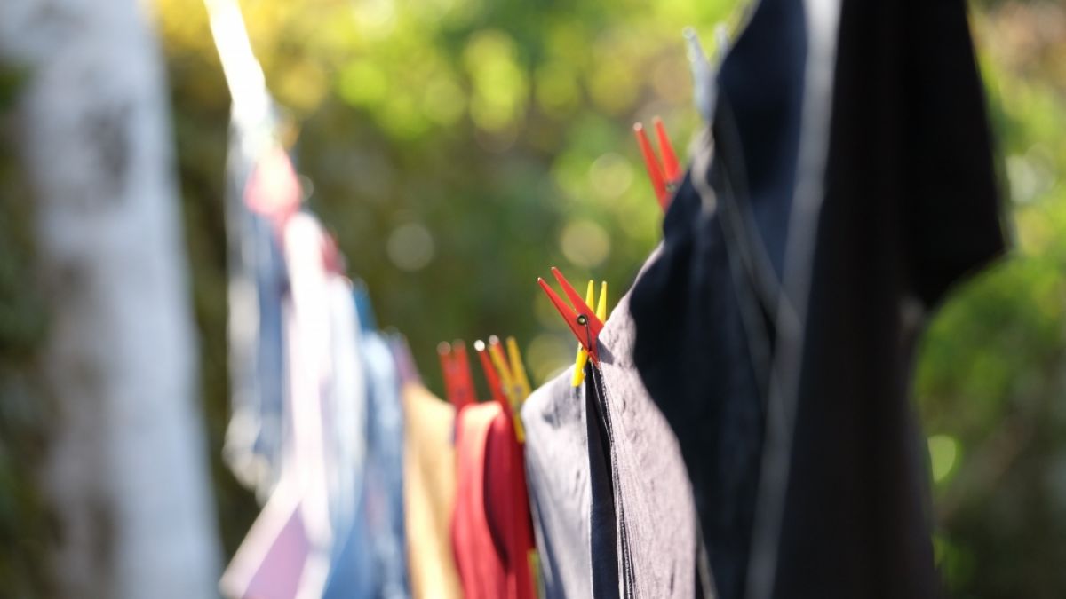 Volle Wäscheleinen am Sonntag sind so manchem Vermieter ein Dorn im Auge. (Foto)