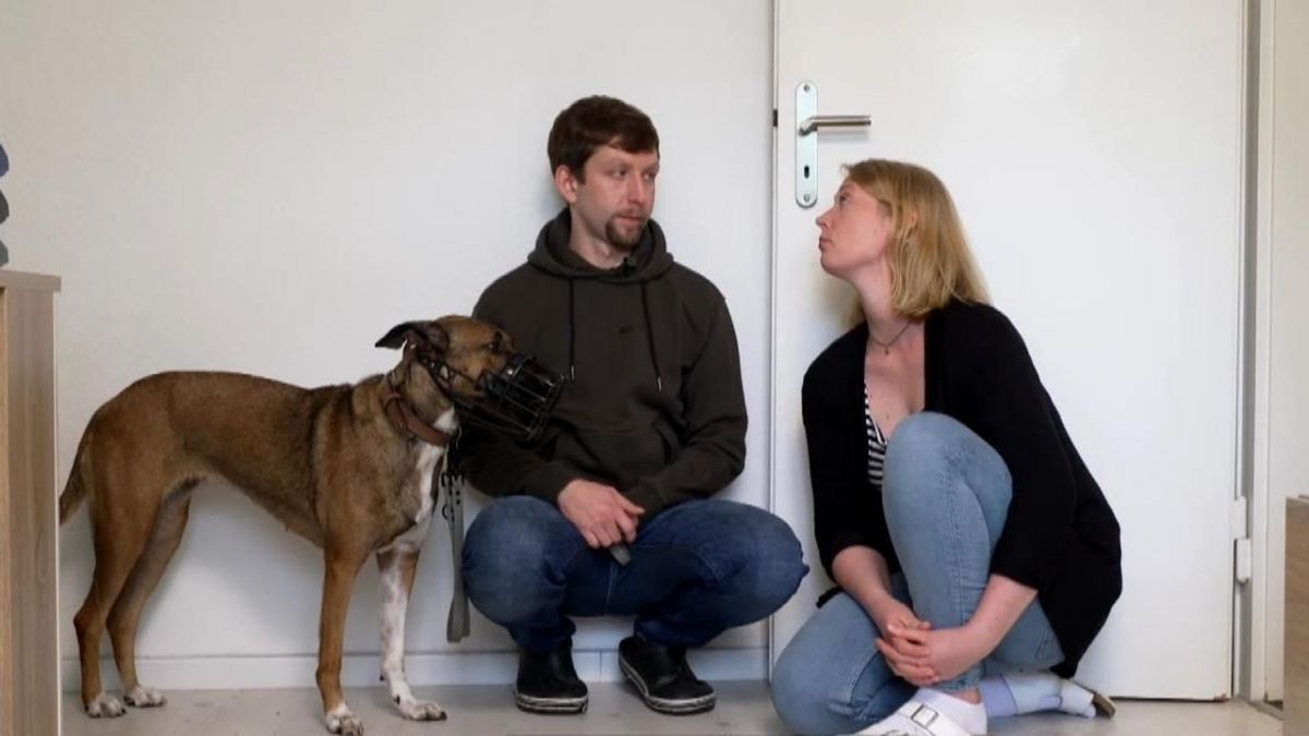 Die Unvermittelbaren - Mit Martin Rütter bei RTL (Foto)