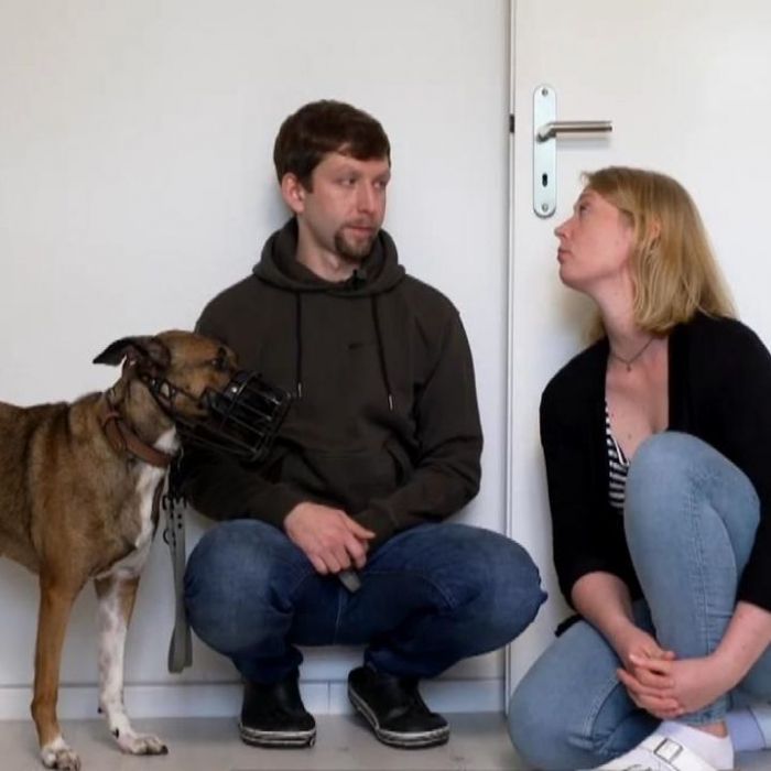 Wiederholung von Episode 7, Staffel 4 online und im TV
