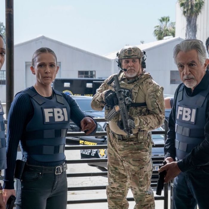 Wiederholung von Folge 10, Staffel 17 online und im TV