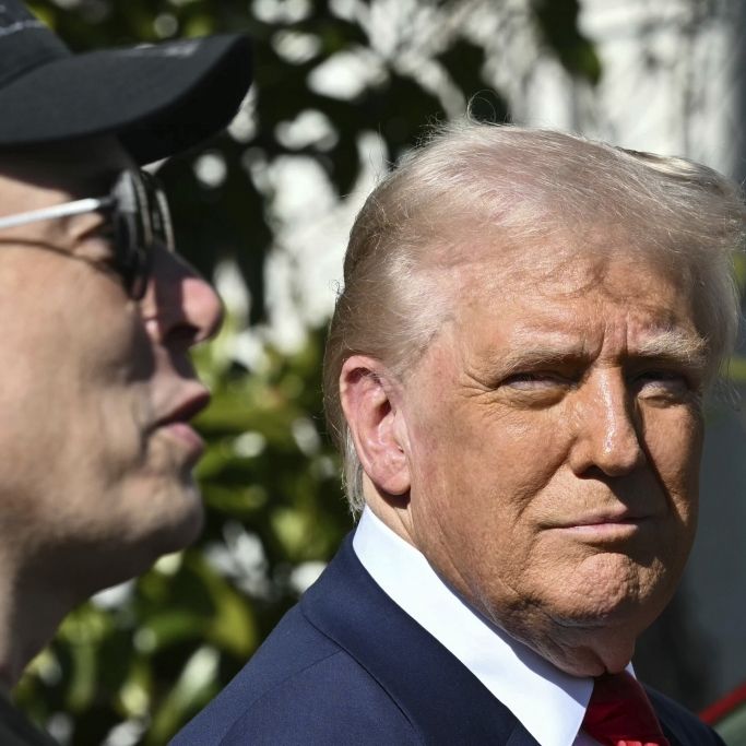 Insider plaudert aus: Trump wird Musk jetzt zum Verhängnis