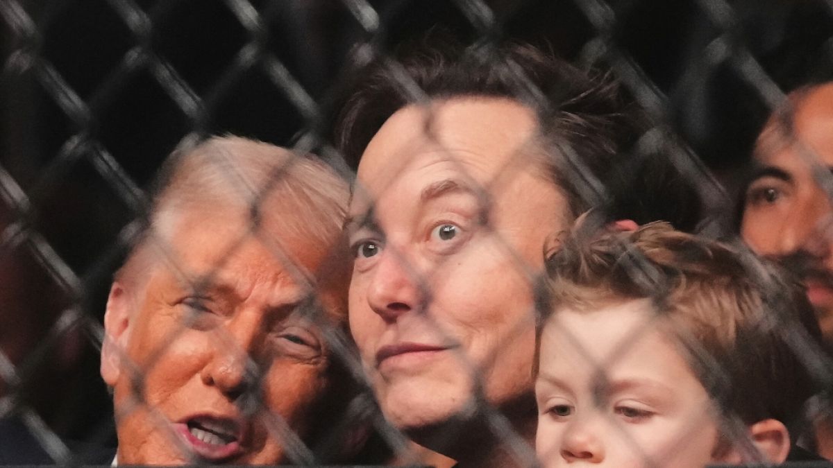 Elon Musk plant angeblich eine "Legion" von Kindern, die er mit intelligenten Frauen zeugen will. (Foto)